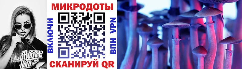kraken tor  Егорьевск  Галлюциногенные грибы Magic Shrooms 