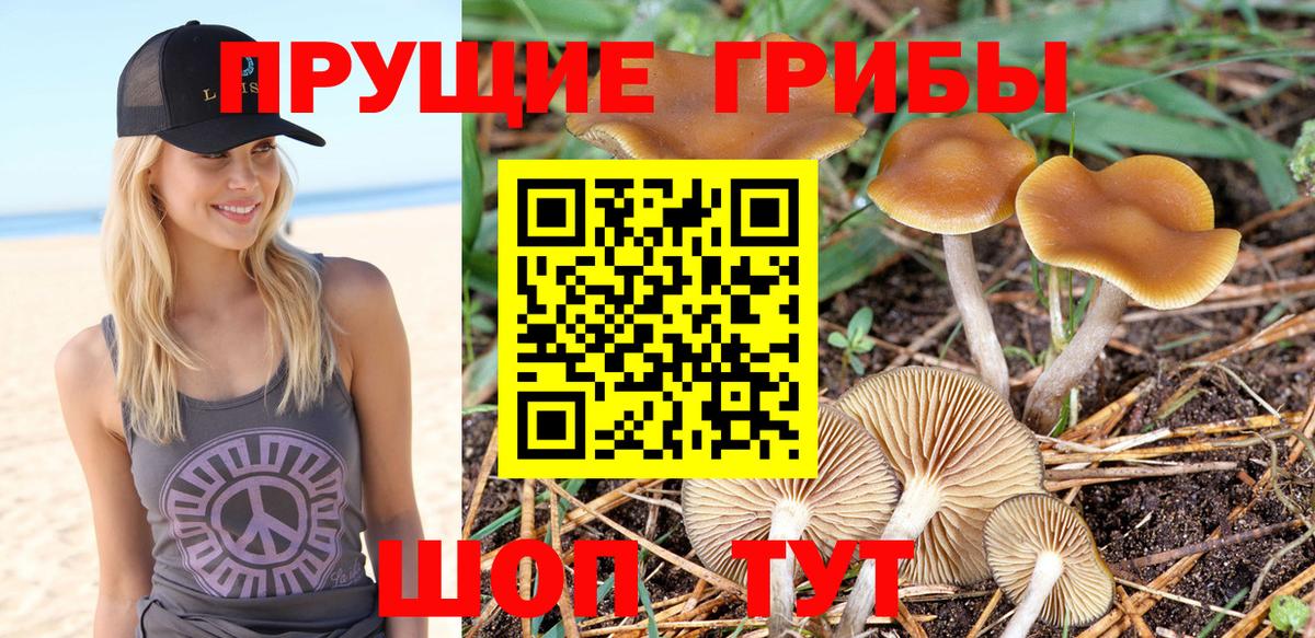 Егорьевск  Галлюциногенные грибы мухоморы  Вход с VPN  Галлюциногенные грибы мицелий 