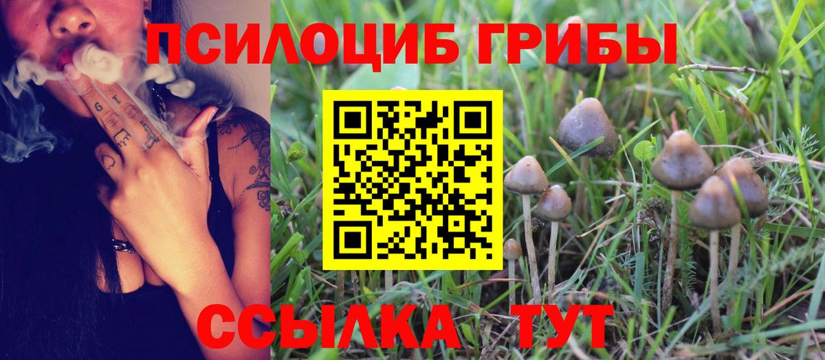 Галлюциногенные грибы Magic Shrooms Егорьевск