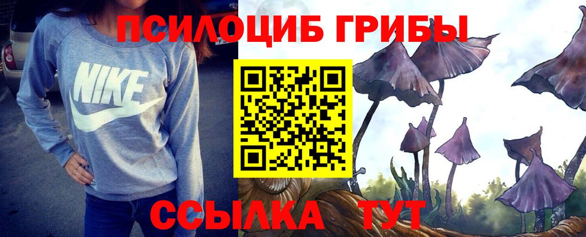 Псилоцибиновые грибы GOLDEN TEACHER  Егорьевск 